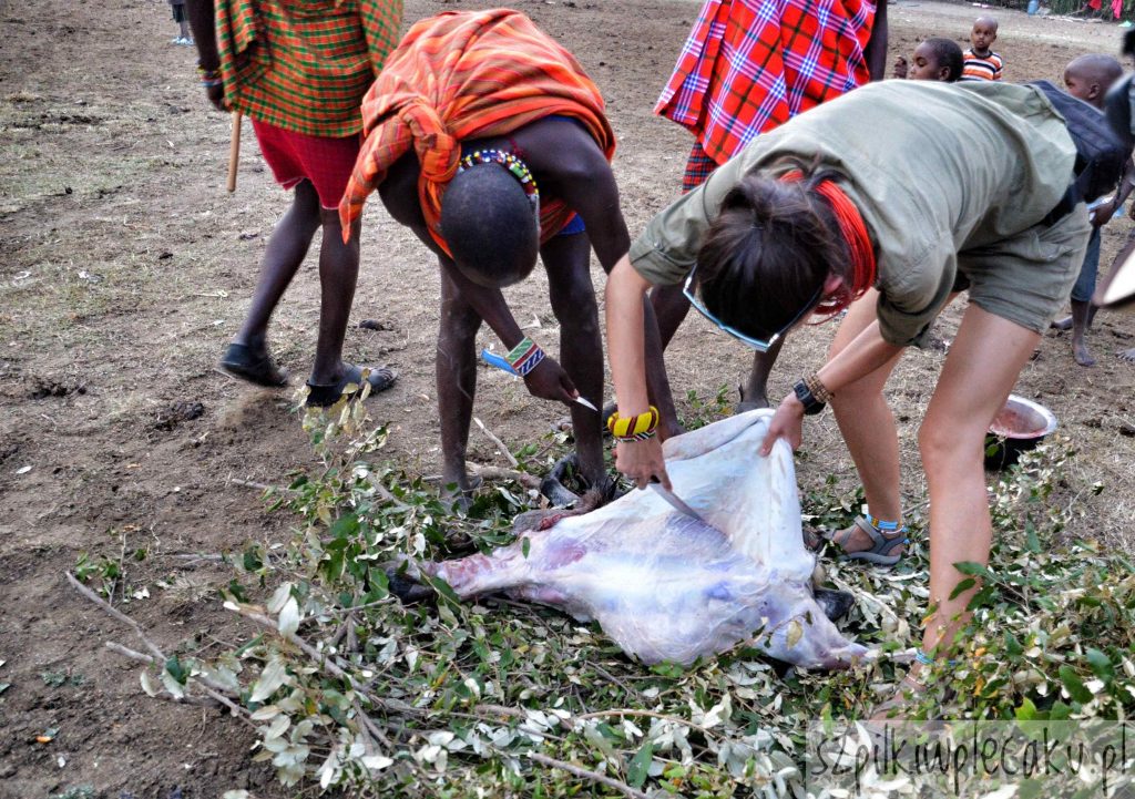 skórowanie kozy - wioska masajów - szpilki w plecaku - ewa chojnowska