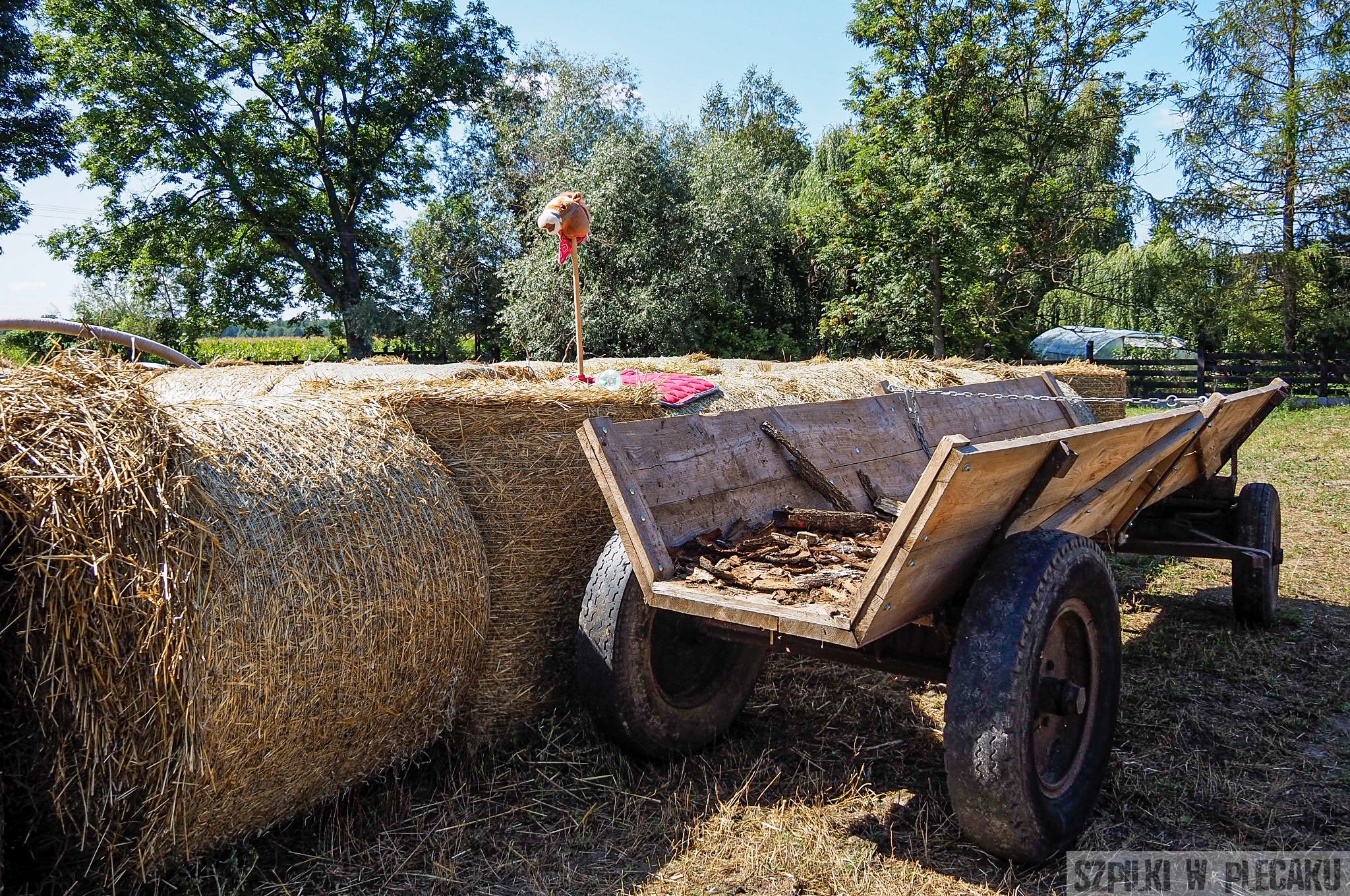 Na wsi najlepiej - sielska oaza godzinę od Warszawy! - Ewa Chojnowska ...