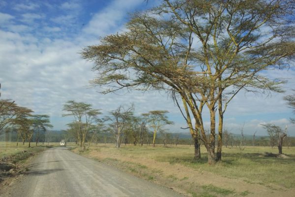 Kenya Nakuru safari