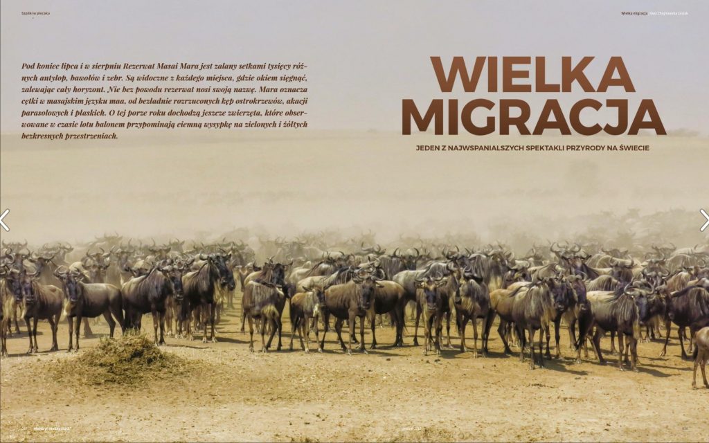 Modny Śląsk – Wielka migracja