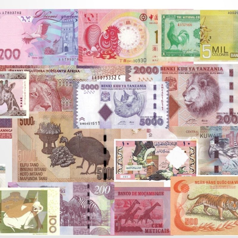 zwierzęta na banknotach