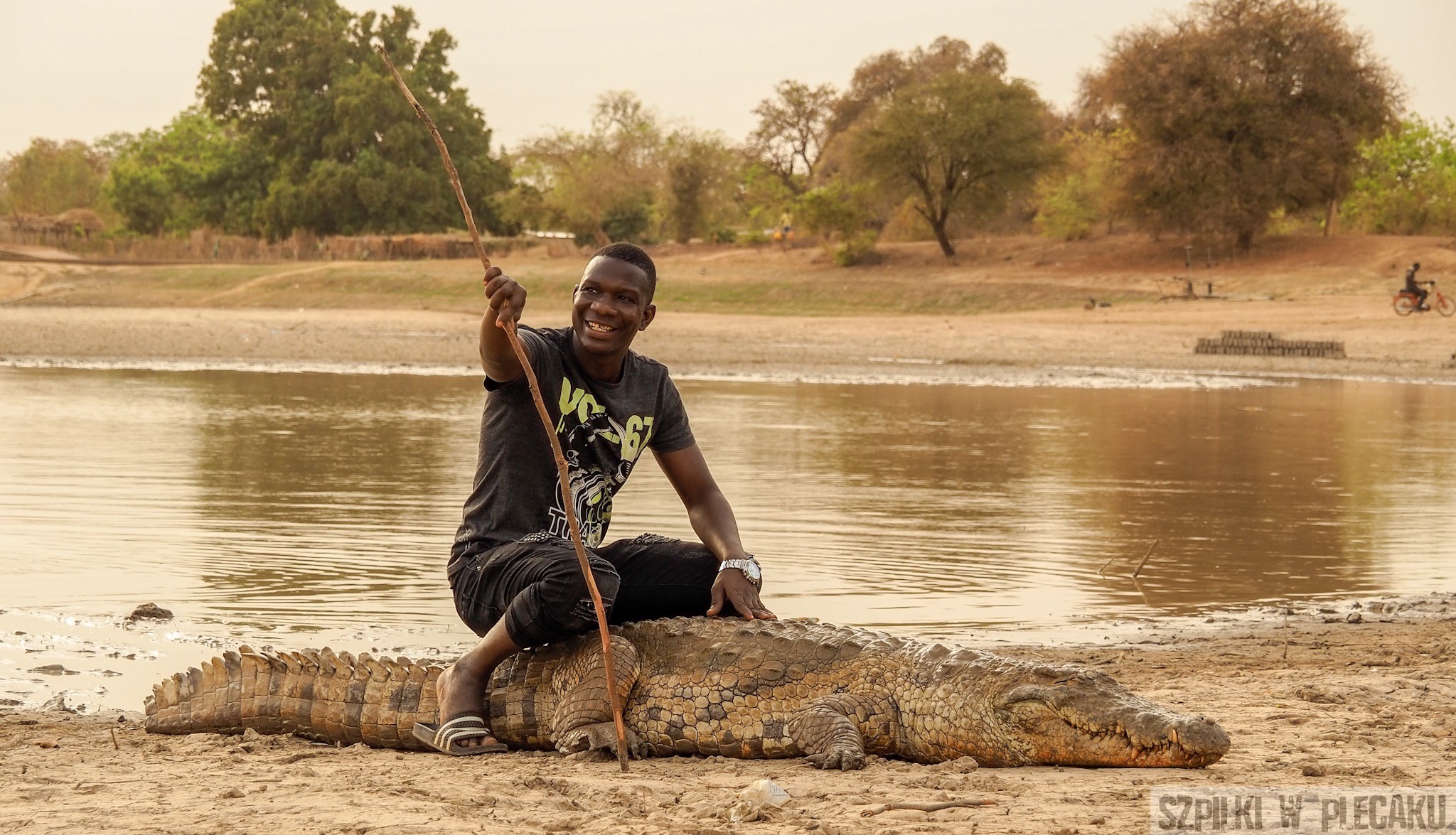 święte krokodyle Burkina Faso