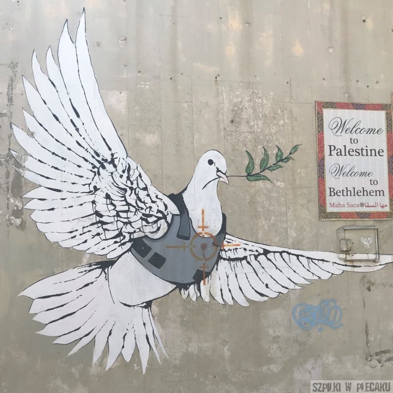 Banksy - Palestyna - gołąbek