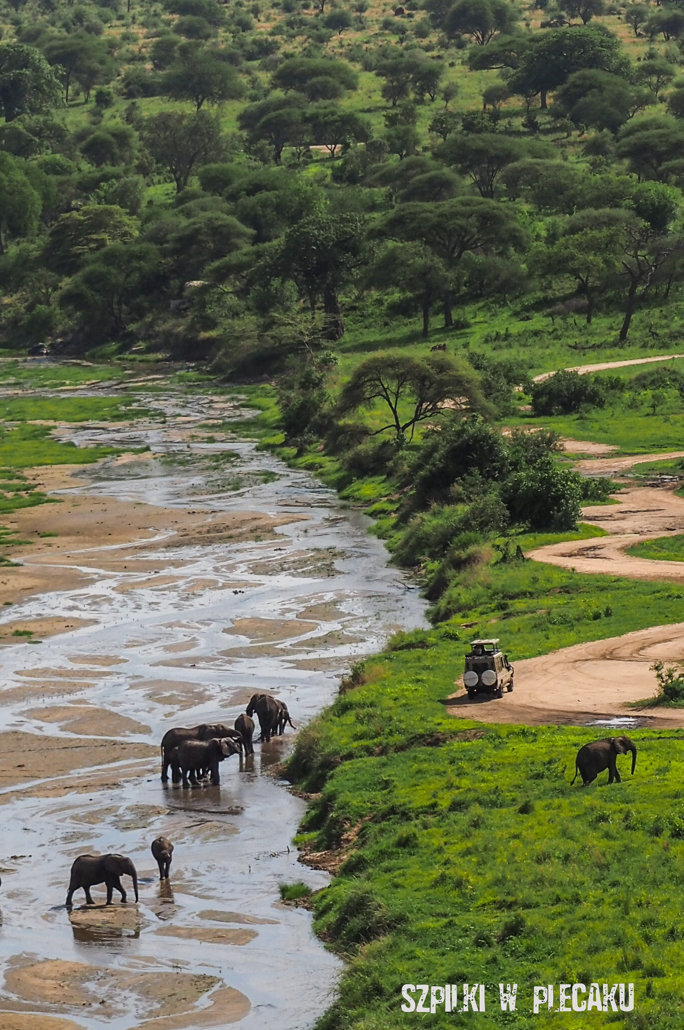 safari Tarangire Tanzania - Szpilki w plecaku Ewa Chojnowska