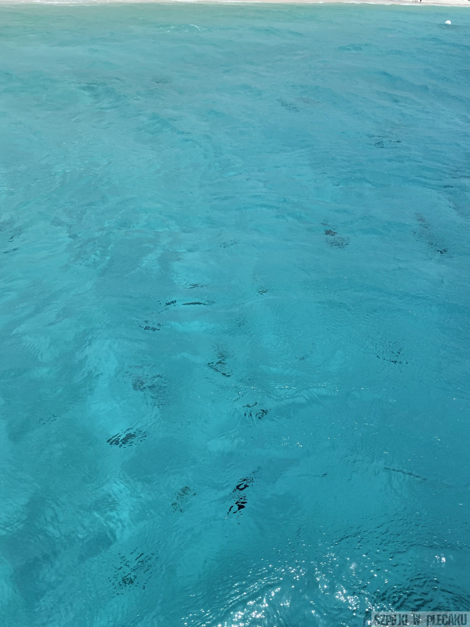 nurkowanie - Bonaire - Szpilki w plecaku