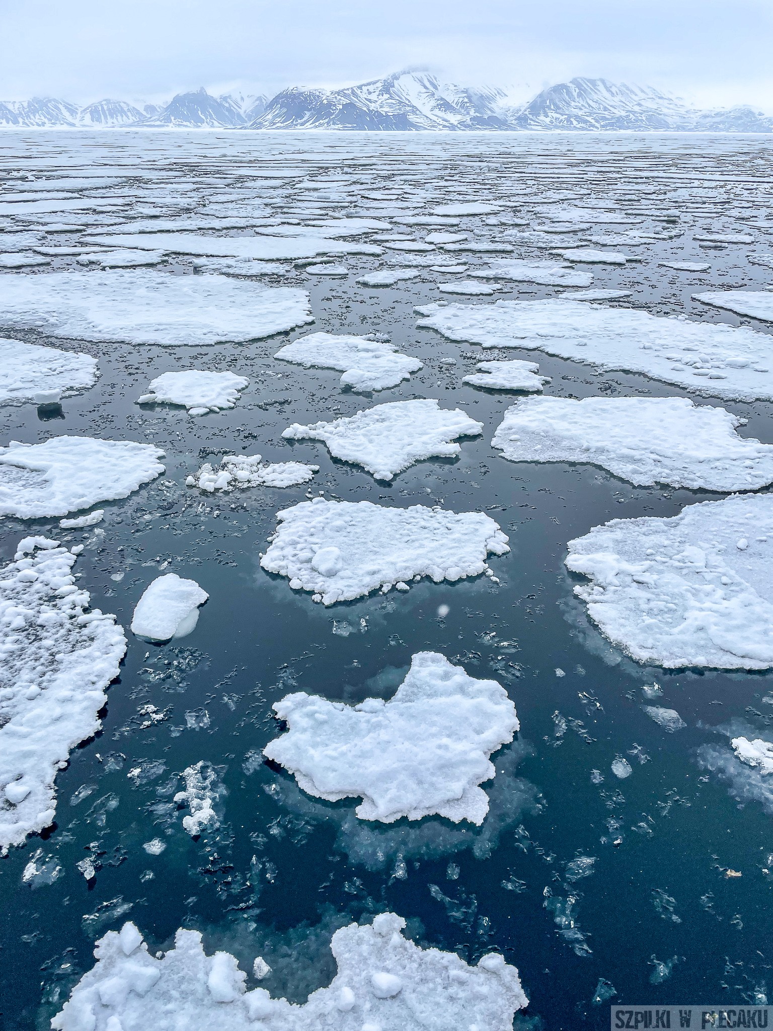 Co zabrać na rejs do Arktyki? Lista subiektywna w drodze na Svalbard i Spitsbergen