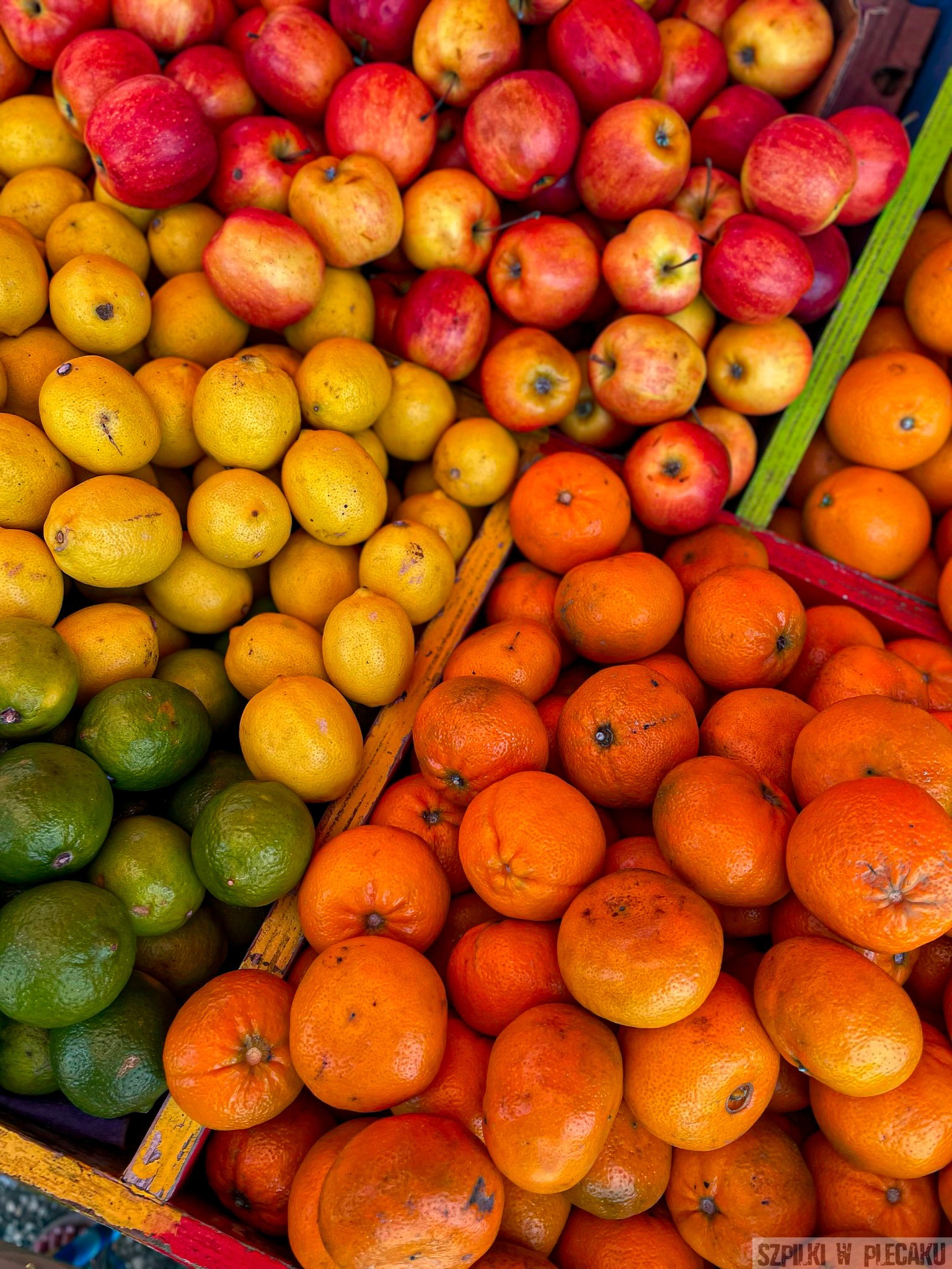 Barbados owoce- Szpilki w plecaku