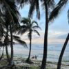 Bathsheba - Barbados - plaża - Szpilki w plecaku