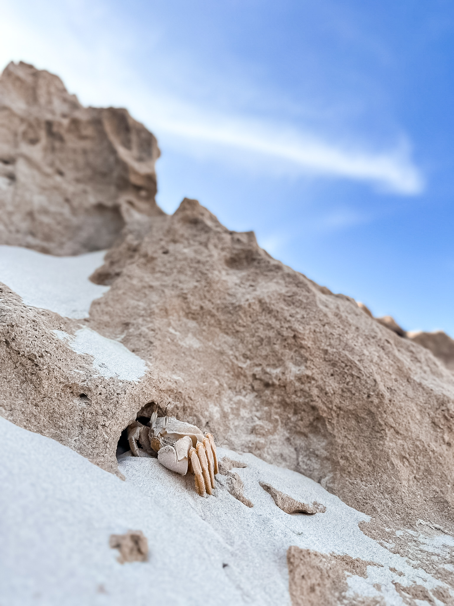 Sokotra Socotra Szpilki w plecaku Ewa Chojnowska