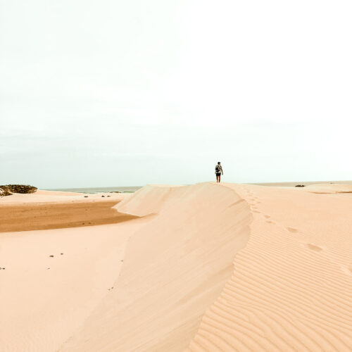 wydmy Sokotra socotra - Szpilki w plecaku Ewa Chojnowska