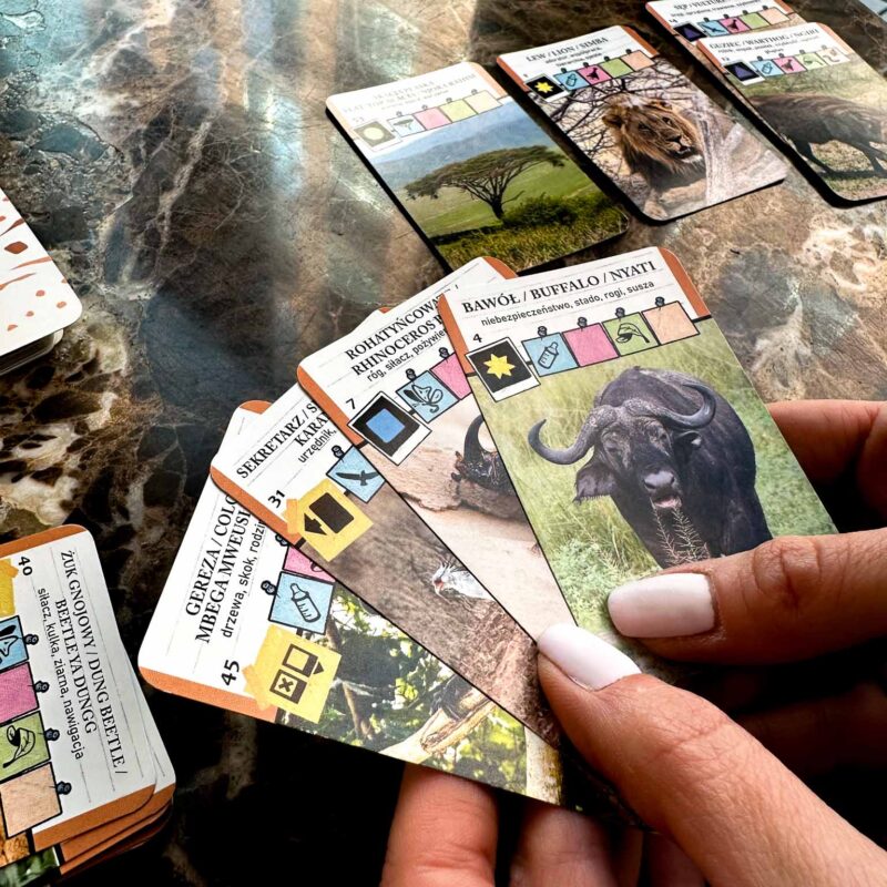 karty Safari - zwierzęta Afryki