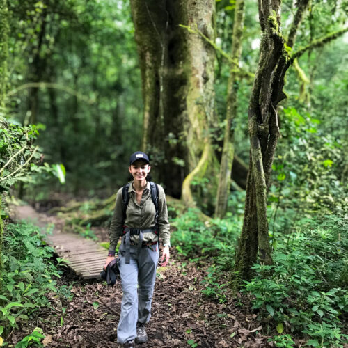 las deszczowy - Szpilki w plecaku - Ewa Chojnowska