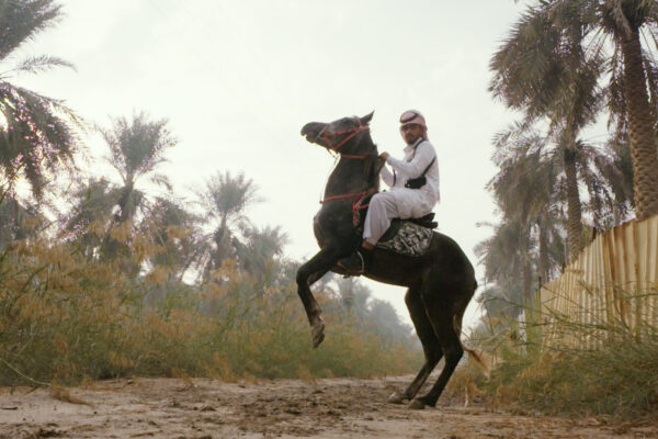 Al Ahsa (1)