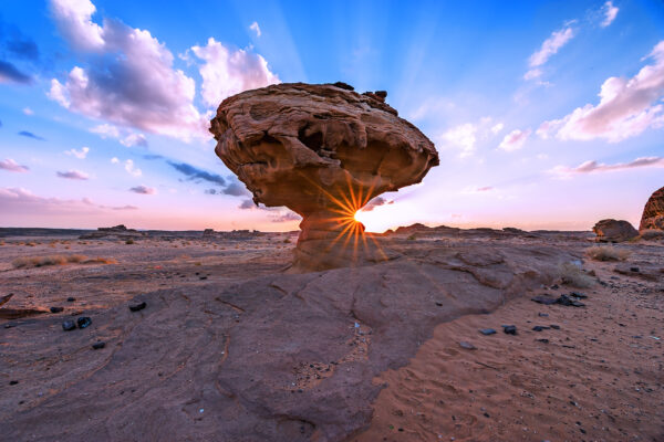 AlUla (64)