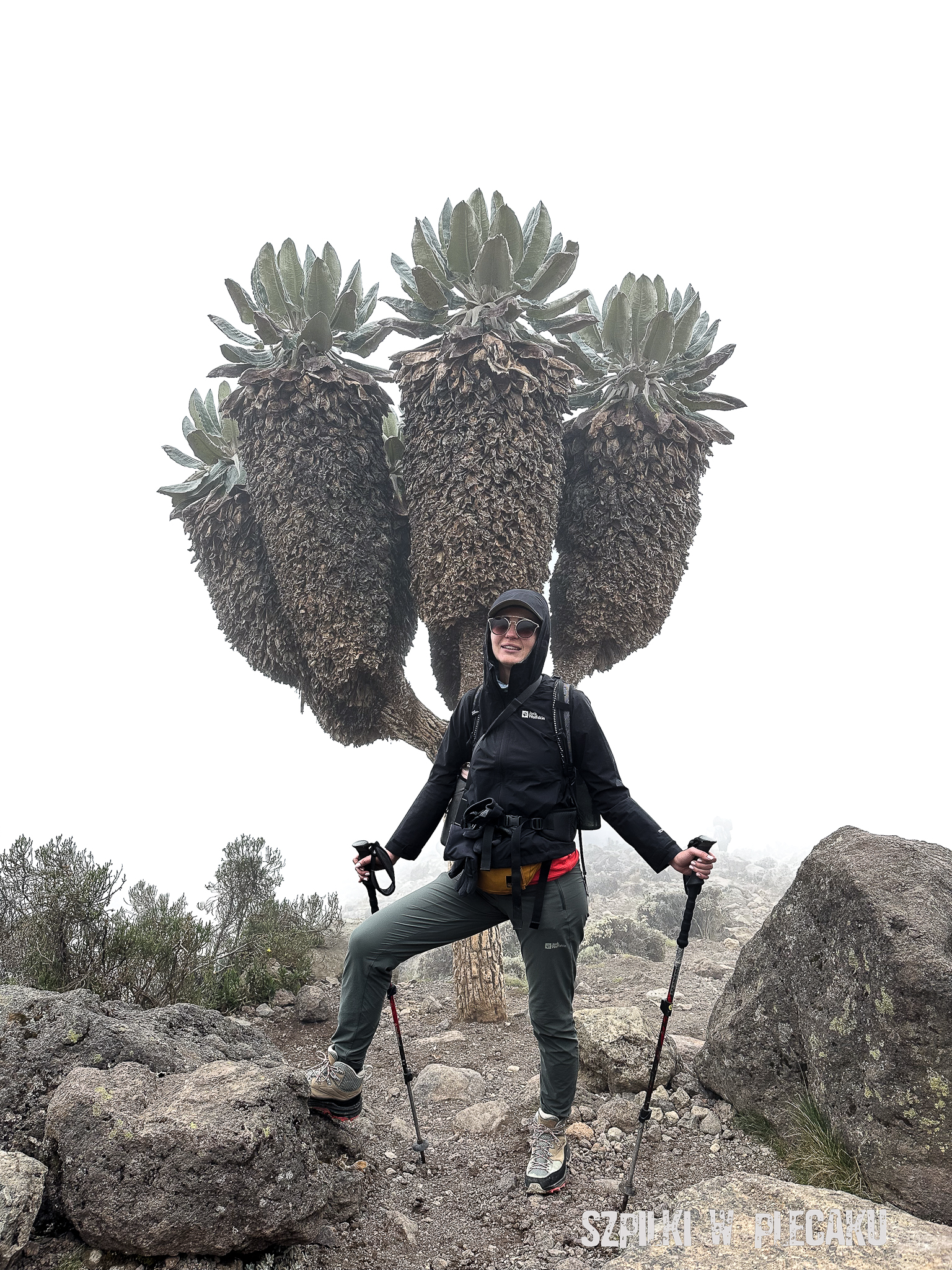 Kilimandżaro - Szpilki w plecaku Ewa Chojnowska (2)